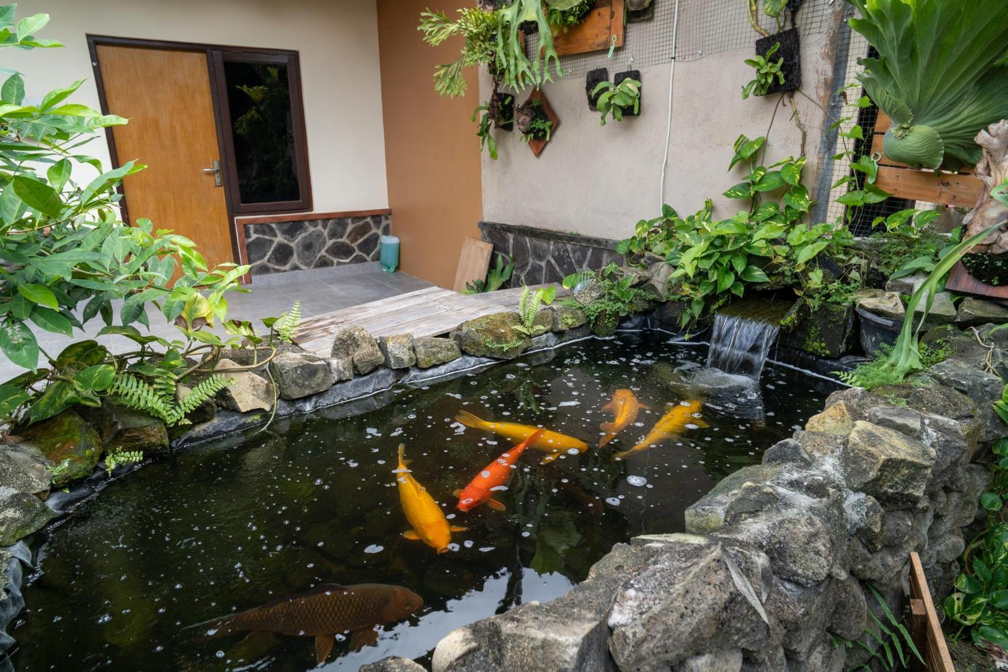 Vinaya Homestay ウブド エクステリア 写真